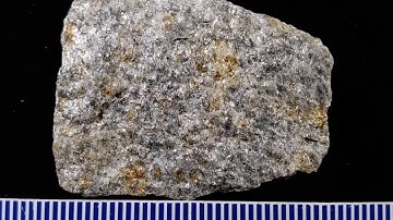 Identification Metamorphic Rock A06 Whole Rock Pan-and-Zoom