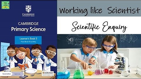 Cambridge Primary Science Stage 5 | Wetenschappelijke onderzoekstypen | Werken als een wetenschapper