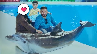 Funtafri@Dubai Dolphins & Seal show