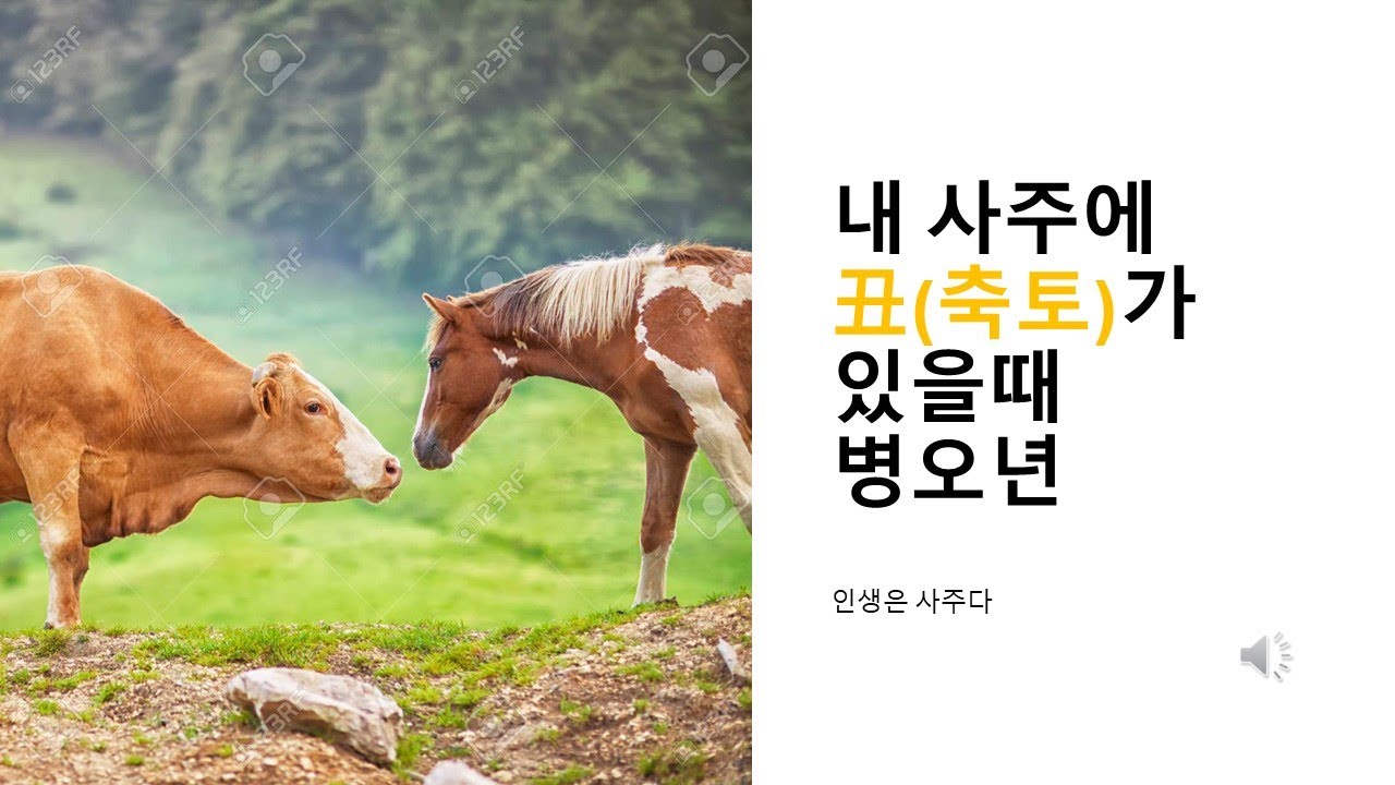 병오년, 축토 있는 사주에 불어닥칠 큰 변화!!!