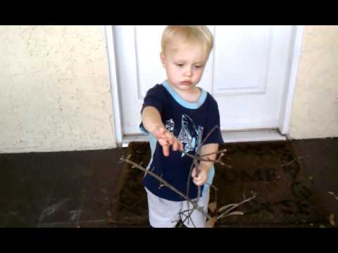 Toren preparing a stick