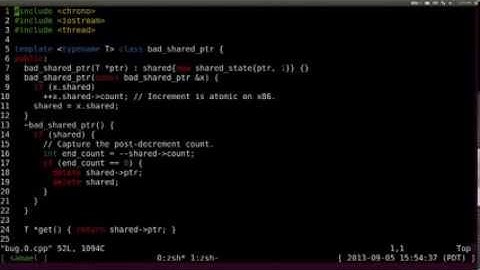 Clang Sanitizer