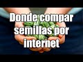 Donde comprar semillas por internet || Bananafabric