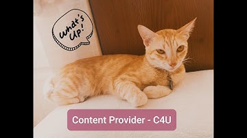 Android - Java  || Content Provider || Carry by Tùng TTr