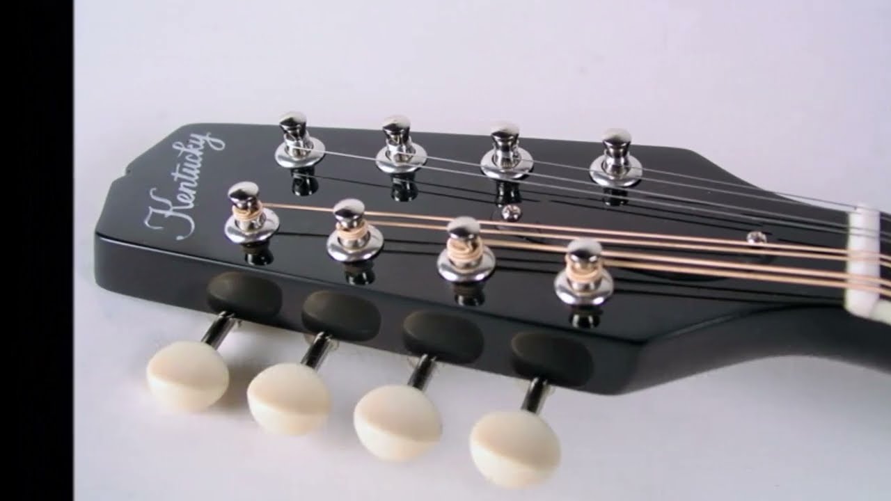 best mandolin for beginners 2022