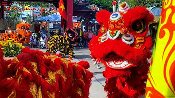 Múa Lân Tết 2023 Khai Quang Điểm Nhãn Đoàn Lân Sư Rồng Chấn Nghĩa Đường Tỉnh Bình Dương