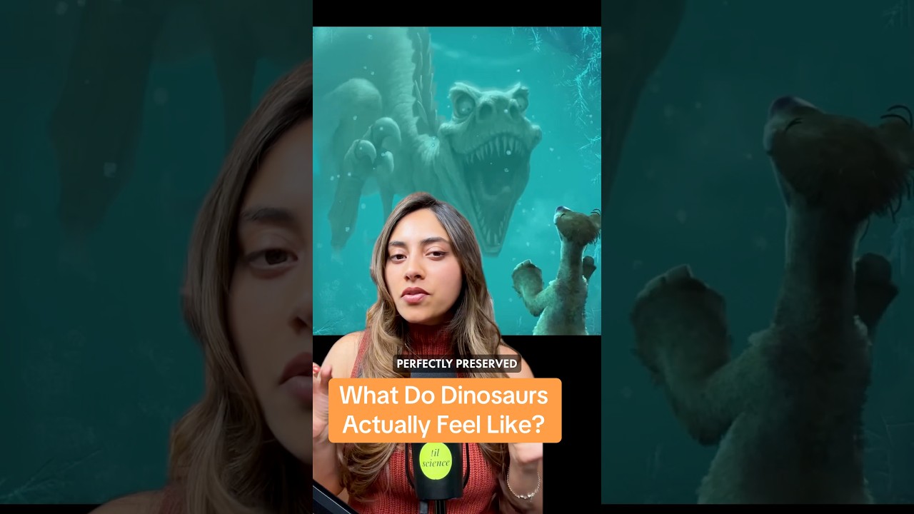 Here’s What A Dinosaur Actually Feels Like