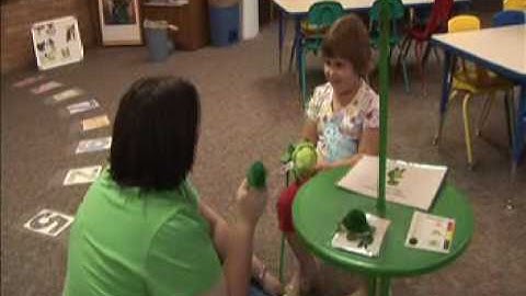 CSEFEL: v2 17Teaching Tucker 2