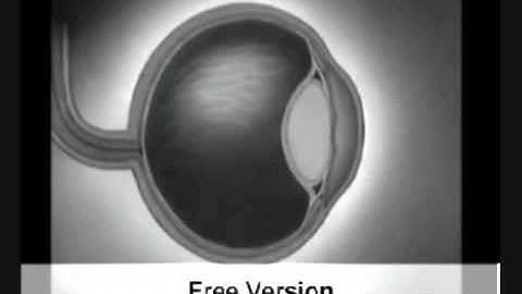 Propeller Clock   Electronics club of IIT Kanpur