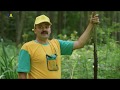 Marshes of Polissia | Unexplored Ukraine