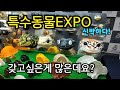 특수동물 EXPO 신기한게 너무많다! Mp3 Song