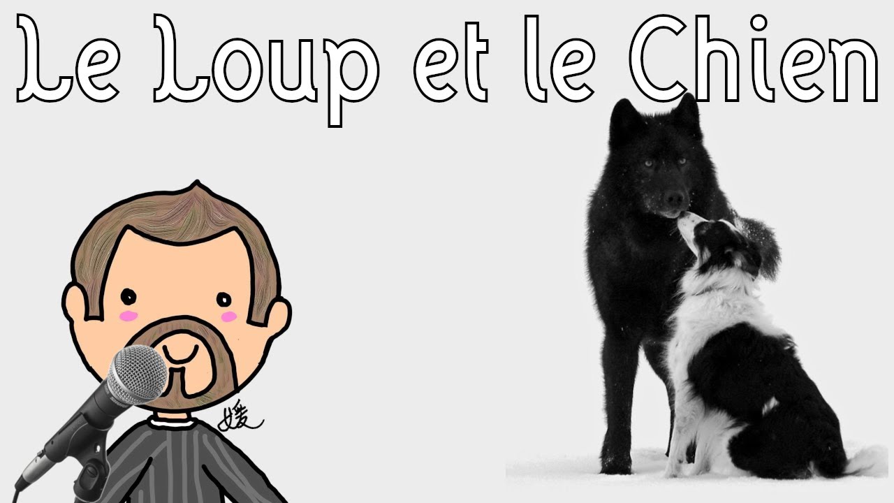 Le Loup et le Chien - Jean de La Fontaine - I-5 - YouTube