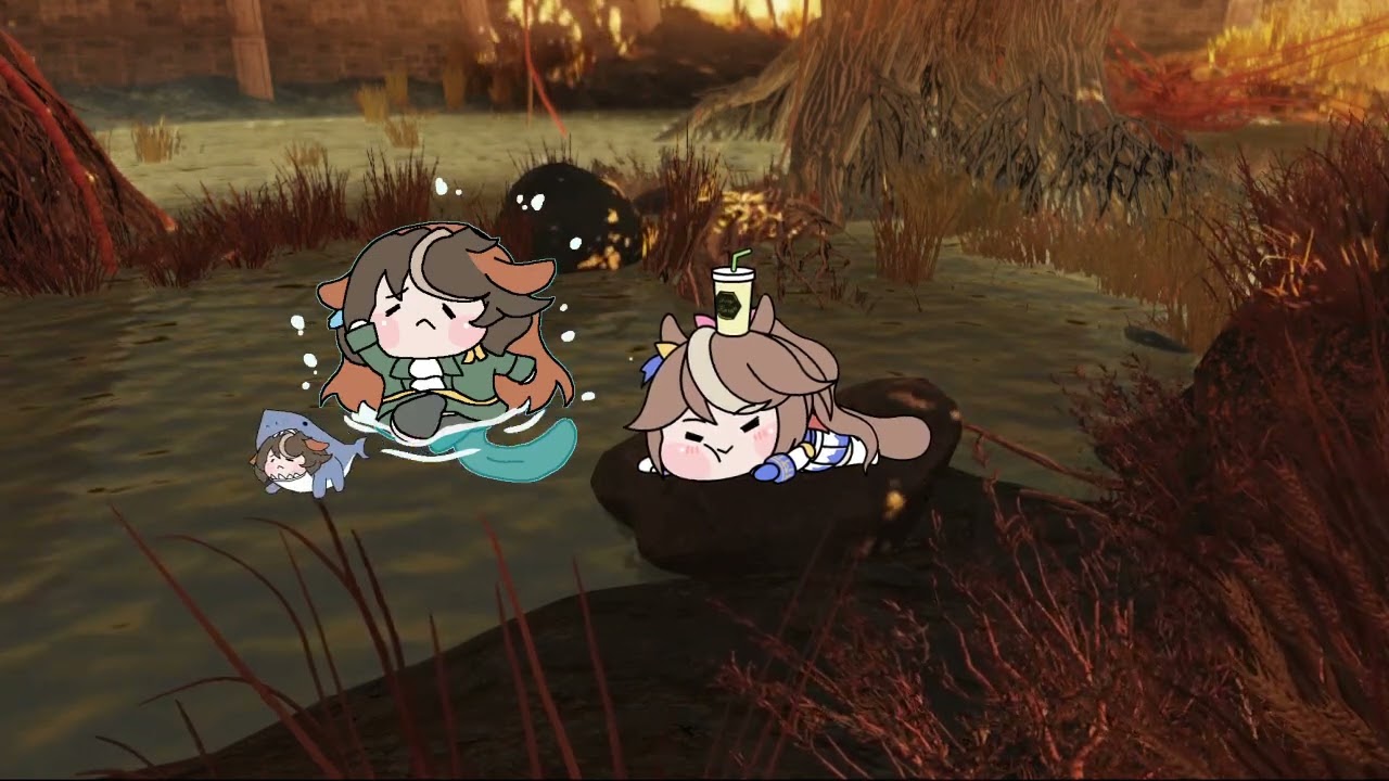 たぬき - YouTube