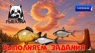 #🐠Стрим🐠#🐠Russian Fishing 4🐠№ 566🐠выполняем задания🐠6 этап (1 задание) 7 этап (1,2,3 задания)