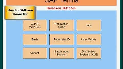 SAP ECC ERP Tutorial - SAP Terms - Part 1 of 10