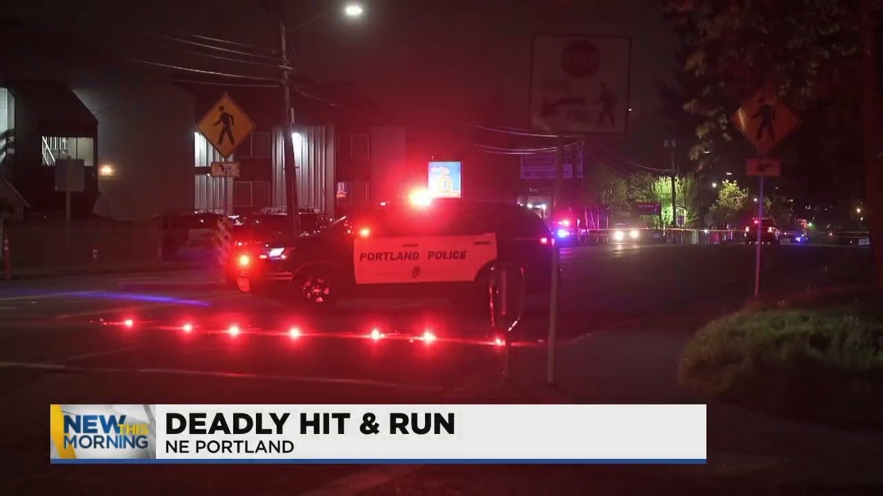 News Update: Police search for driver involved in deadly hit and run in ...