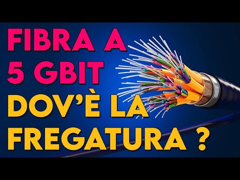 Vídeo: O que é uma fibra genérica?