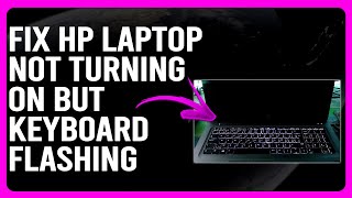 How To Fix HP Laptop Not Turning On But Keyboard Flashing (Quick Solutions To Resolve The Issue)