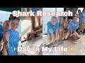 Day in My Life | Shark Research Crew