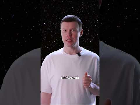 Белка и Стрелка - чем на самом деле знамениты? #космос