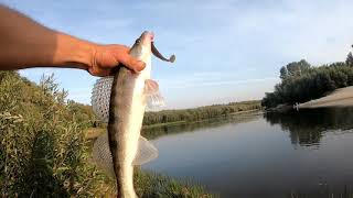 видео: Судак в Черте Города ! Береговой ДЖИГ! Осенний Спиннинг р Десна картинка: Судак в Черте Города ! Береговой ДЖИГ! Осенний Спиннинг р Десна