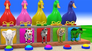 Long Slide Game with Cow Elephant Gorilla Hippopotamus Tiger 3d Animal Game Funny 3d Animals