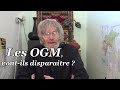 Les ogm vontils disparaitre 