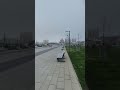 Анапа. 0304.2025