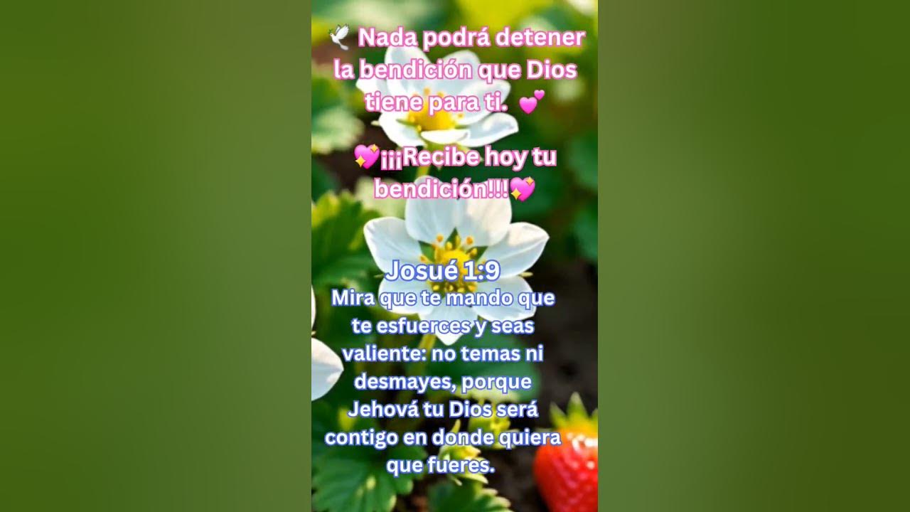 Recibe la bendición de Dios 🙌💕 Gloria a Jesucristo #Dios #Jesus #alabanzas #frases #biblia #amen #fe