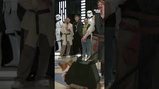 The Power Of The Bark Side: Corgis Celebrate Star Wars In-Costume At Moscow Exhibition 🐕‍🦺