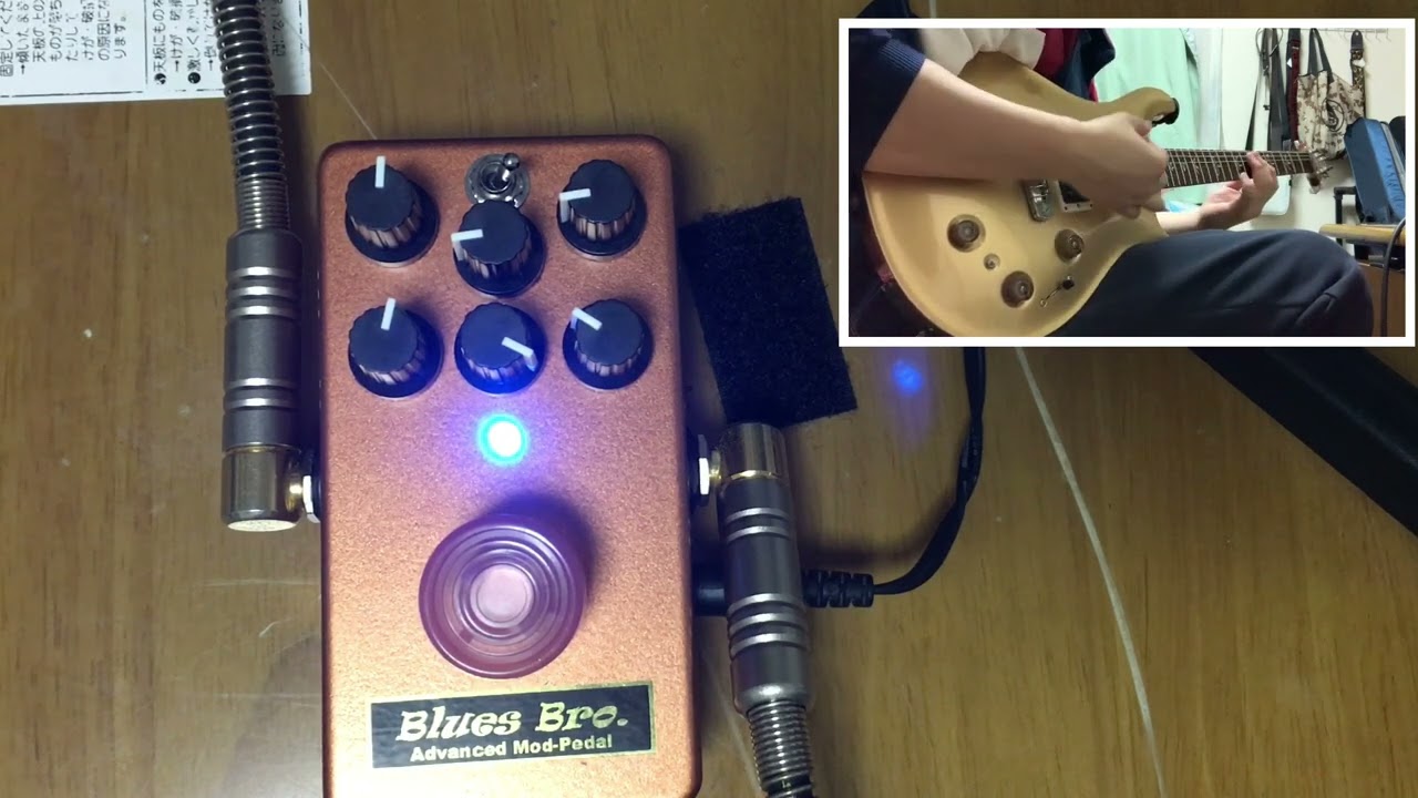 JanRayクローンmod スタジオジョニー製 jan ray clone mod.】studio johnny Blues_Bro.を好きなように