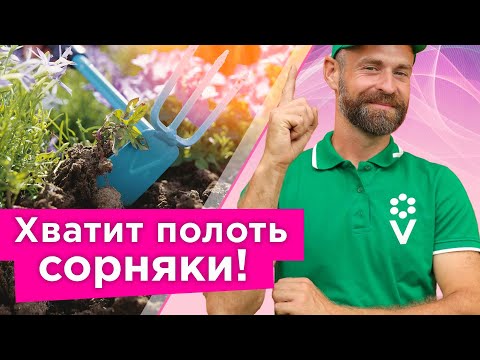 ПОЛОТЬ СОРНЯКИ ВОСПРЕЩАЕТСЯ в это время! Когда прополка - плохая идея и как быстро победить сорняки?