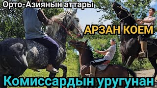 ТӨРТ АТ ⭐️КОМИССАРДЫН УРУГУ БАР 👍АРЗАН АТ БАР💥15 мая 2024 г.