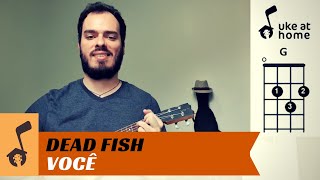 Vídeo de Você (ver. 2)