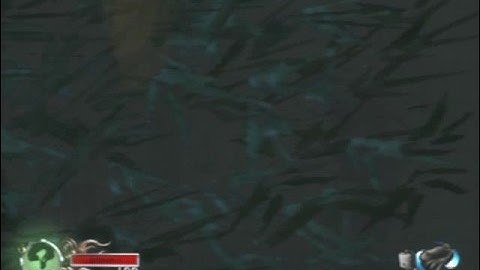 Tenchu: Fatal Shadows - C9-L1