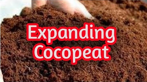 How To Expand Cocopeat Block | Potting Mix | Plants and Craft