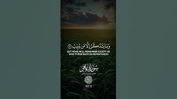 قران كريم #قرآن #راحة_نفسية #قران_كريم #اكسبلور #المصحف #اللهم_صل_وسلم_على_نبينا_محمد