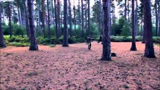 McFly Running At The Forest