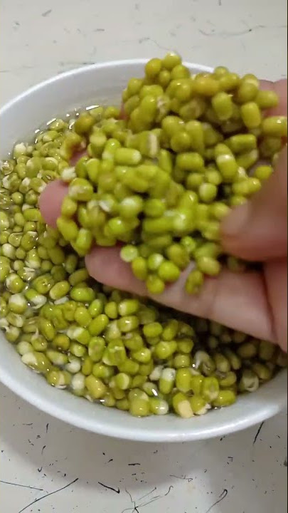 High Protein Sprouted Green Moong Dal for Vegetarian | Sandhya Jaiswal