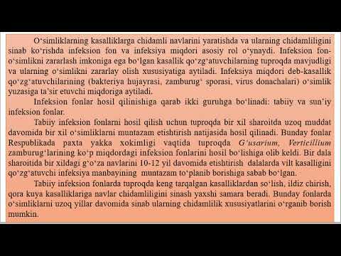 Video: Kasallikka chidamli pomidor – Kasalliklarga chidamli pomidor oʻsimliklari haqida bilib oling