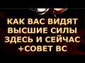 КАК ВАС ВИДЯТ ВЫСШИЕ СИЛЫ ЗДЕСЬ И СЕЙЧАС СОВЕТ ОТ ВАМ ПО СИТУАЦИИ таро любви олнлайн сегодня