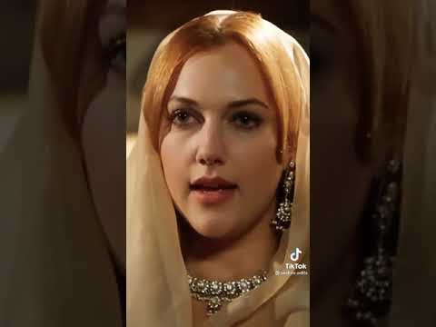 Todos amamos la