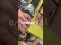 🔧 Algo grande se está forjando en el taller… | ¿Puedes adivinar la moto?
