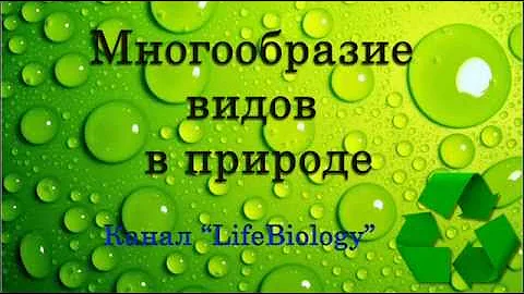 Многообразие видов в природе