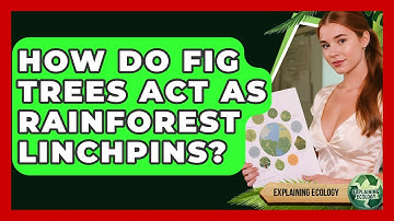 How Do Fig Trees Act As Rainforest Linchpins? - Explaining Ecology