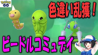 ビードル Youtube