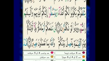 سورة الممتحنة: تفصيل الأحكام من الآية  2 إلى الآية 3 برواية حفص عن عاصم 🦜🌴.