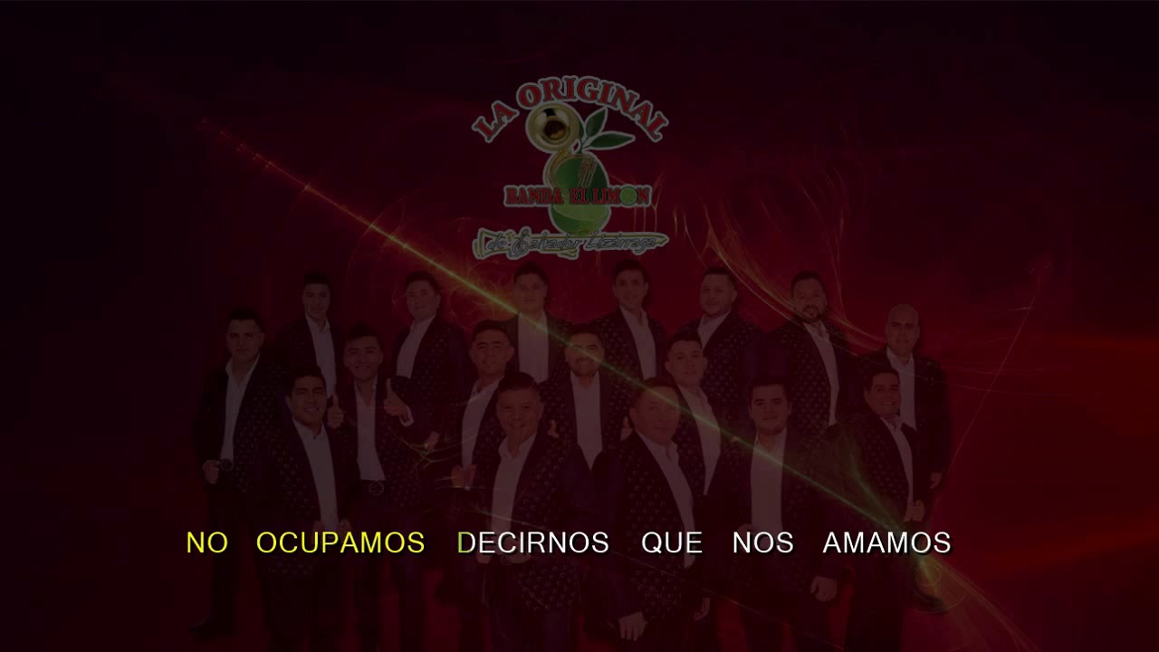 13. Sin Permiso Para Amarte - La Original Banda El Limon KARAOKE