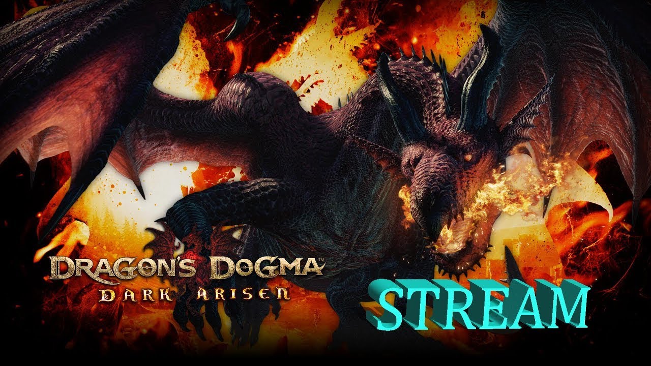 Dragons dogma dark arisen пешки