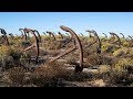 Portugal&#39;s Anchor Cemetery - Cemitério das Âncoras